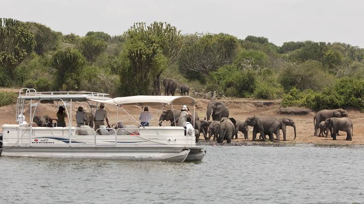 Boat Safari Queen Elizabeth park